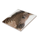 Pesquisar por listras da zebra azulejos Qualquer pessoa