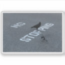 Pesquisar por corvo adesivos Engraçado