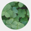 Pesquisar por trevo três folhas adesivos Irlandês