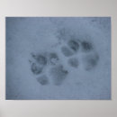 Pesquisar por paws pôsteres Cachorrinho