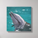 Pesquisar por golfinhos impressão de canvas Arte