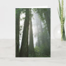 Pesquisar por bark cartoes Tree