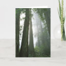 Pesquisar por bark cartoes Tree