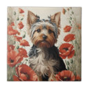 Pesquisar por yorkshire terrier lar enfeites Yorkie
