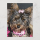 Pesquisar por yorkies cartoes postais Animal