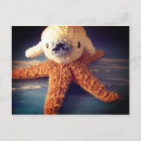 Pesquisar por estrela kawaii cartoes postais Bebê