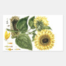 Pesquisar por flor nativa adesivos Floral