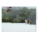 Pesquisar por cavalo marrom do pinto Branco