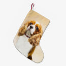 Pesquisar por cavalier meias de natal Cavalier king charles