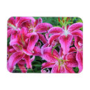 Pesquisar por flores orientais imas Jardim
