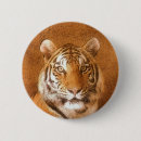 Pesquisar por fora tigre botons For kids