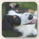 Pesquisar por do estranho porta copos Horizontal