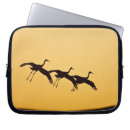 Pesquisar por fauna capas Del