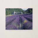 Pesquisar por campos da lavanda quebra cabecas Europa