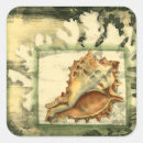 Pesquisar por concha adesivos Praia