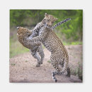 Pesquisar por raiva imas Animais selvagens