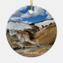 Pesquisar por terra do globo Natal