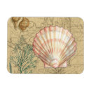 Pesquisar por colagem imas Concha