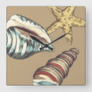 Pesquisar por estrela do mar relogios de parede Concha