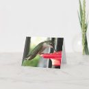 Pesquisar por alimento cartoes Fotografia