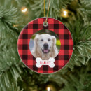 Pesquisar por osso de cão ornamentos Moderno