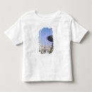 Pesquisar por erigido camisetas Arquitetura