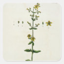 Pesquisar por de 15 adesivos Botânica