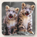 Pesquisar por leopardo de neve porta copos Gato selvagem