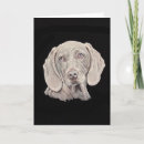 Pesquisar por weimaraner cartoes Raça