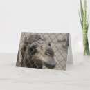 Pesquisar por friendship cartoes postais Animal