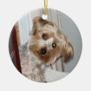 Pesquisar por yorkie ornamentos Feriado