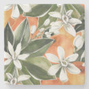 Pesquisar por exótico porta copos Laranja