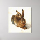 Pesquisar por jovens impressão de canvas Coelho