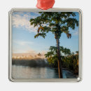 Pesquisar por fiji ornamentos Costa