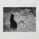 Pesquisar por le chat noir cartoes postais Preto