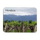 Pesquisar por mendoza imas Vinho