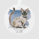 Pesquisar por gato ornamentos Gatinho