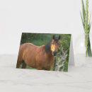 Pesquisar por farm animals cartoes Pets