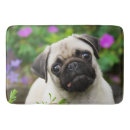 Pesquisar por pug da jovem corça Cão