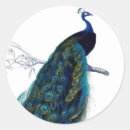 Pesquisar por peafowl adesivos Vintage