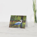 Pesquisar por suja cartoes postais Natureza