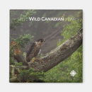 Pesquisar por canada imas Cbc