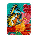 Pesquisar por néon imas Inseto