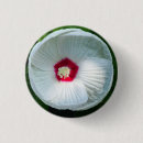 Pesquisar por tulipas botons Branco