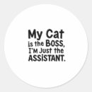 Pesquisar por gata adesivos Humor