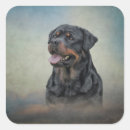 Pesquisar por rottweiler adesivos Canino