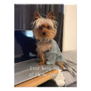 Pesquisar por yorkshire terrier pôsteres Engraçado