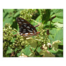 Pesquisar por batatas fritas pôsteres Animal