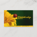 Pesquisar por inseto do escaravelho Natureza