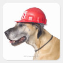 Pesquisar por great dane adesivos Animais domésticos